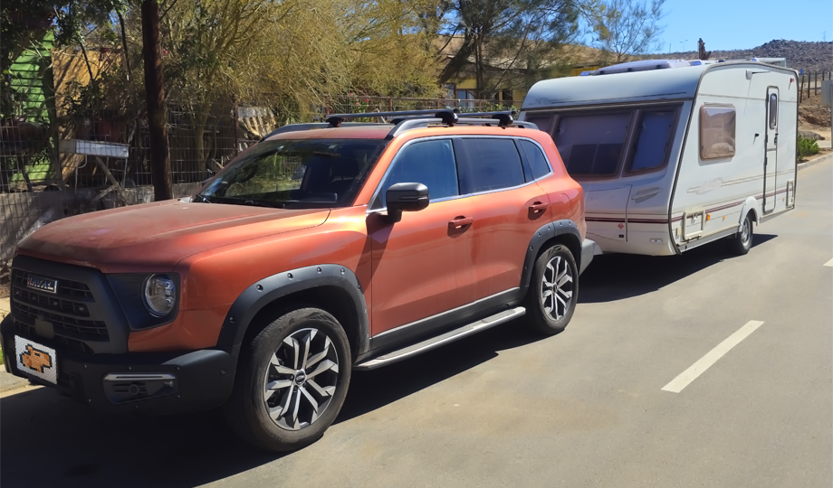 Post2 04 El Perrote y Pichi Ruka