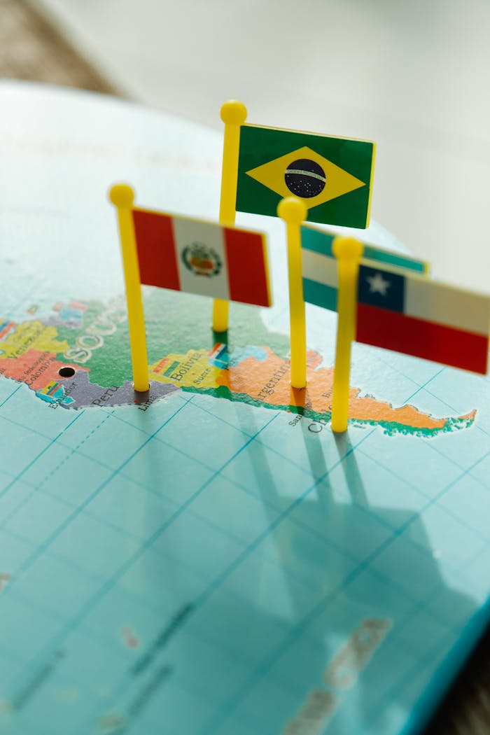 pexels photo 8828606.jpeg